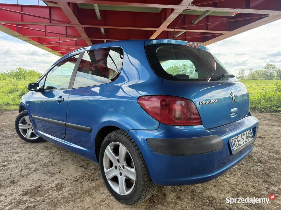 Peugeot 307 2004r 20 Diesel Do Jazdy Bez podkarpackie