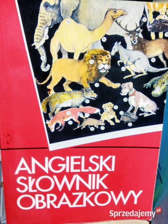 Angielski słownik obrazkowy antykwariat naukowy sprzedam