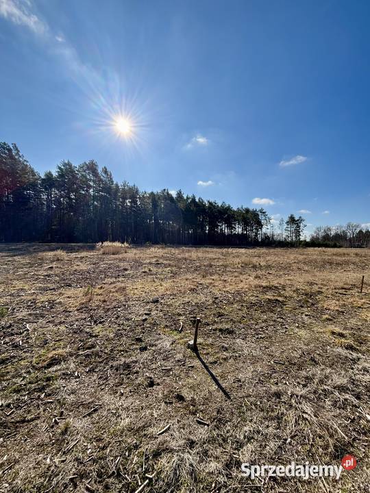 DZIAŁKA BUDOWLANA 1000 m ASFALT LAS SPOKOJNA Sprzedaż Krawcowizna sprzedam