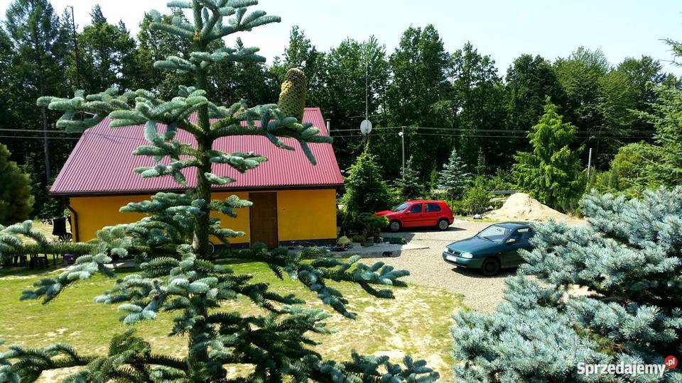 DOM DYNÓW RZESZÓW ŁUBNO BASEN SZKÓŁKA DOMEK Dynów