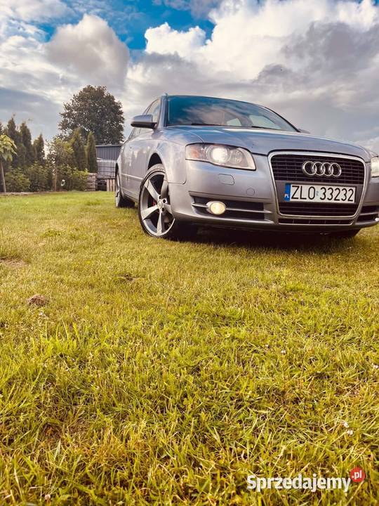 Audi a4 B7 Avant Łosośniczka