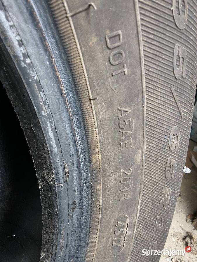 Opony zimowe Dębica Frigo 19565 R15