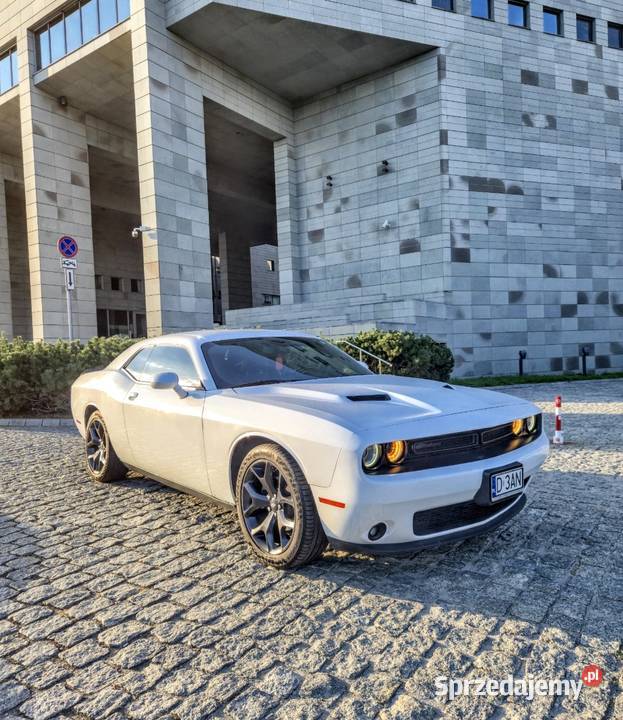 Dodge Challenger SXT 36 V6 2020 305 Wrocław