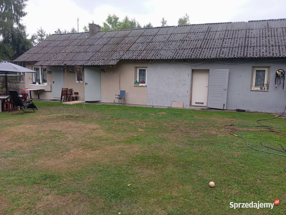 Sprzedam gospodarstwo rolne 5 hektarów z Sprzedaż Łask sprzedam