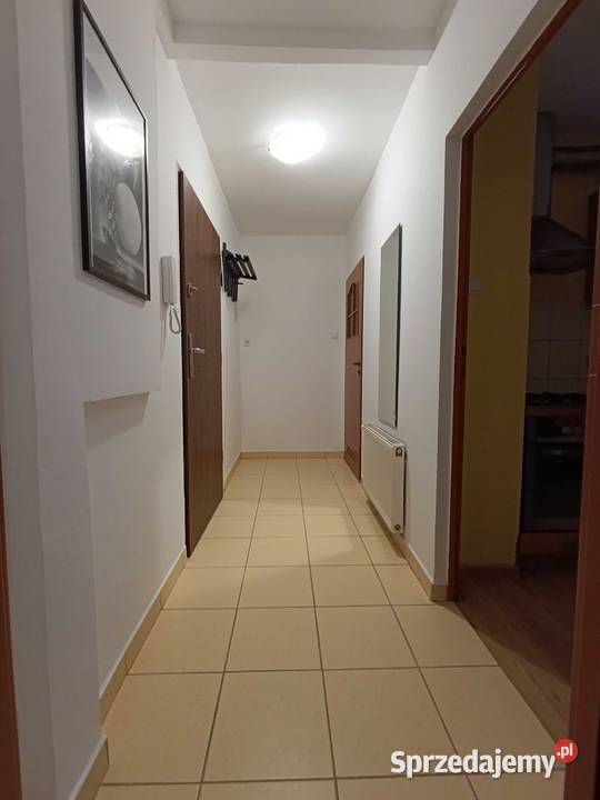 1pok 33met Nasturcjowej PIWNICA Wrocław dolnośląskie