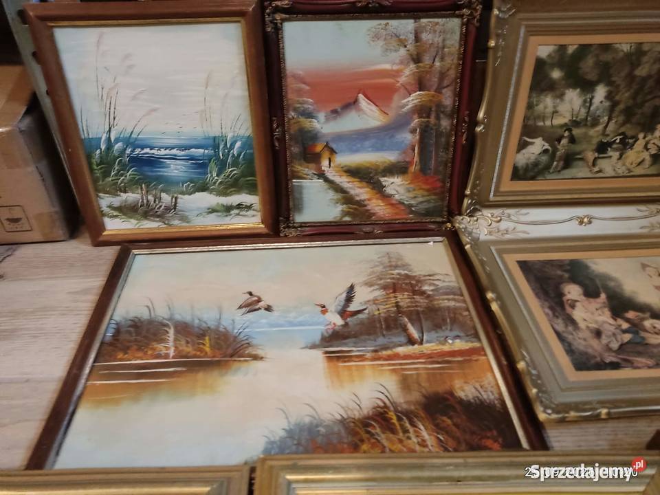 obraz obrazek wyprzedaż tanio Gorzów Wielkopolski