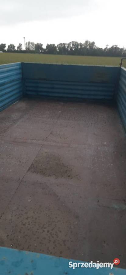 Przyczepa d50 Przyczepy rolnicze wielkopolskie Szczury