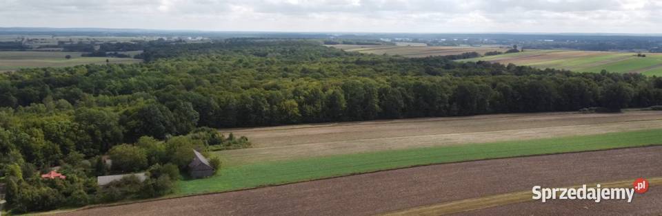 Siedlisko na sprzedaż 69m Grunty i działki lubelskie