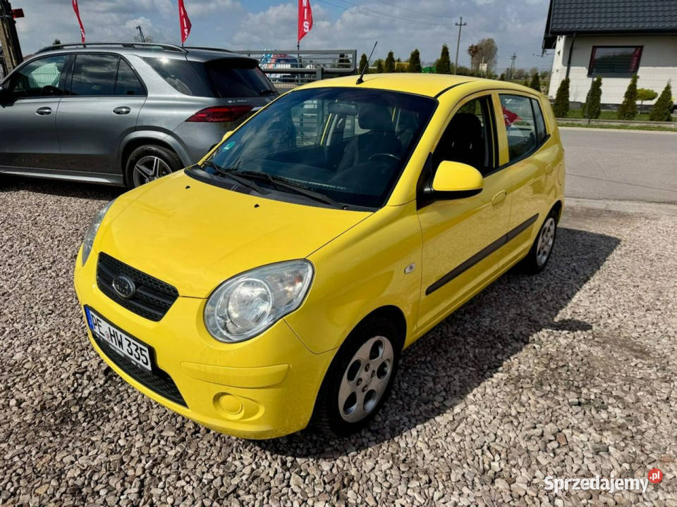 Kia Picanto Kia Picanto 11 Ładny Sprawny Motoryzacja sprzedam