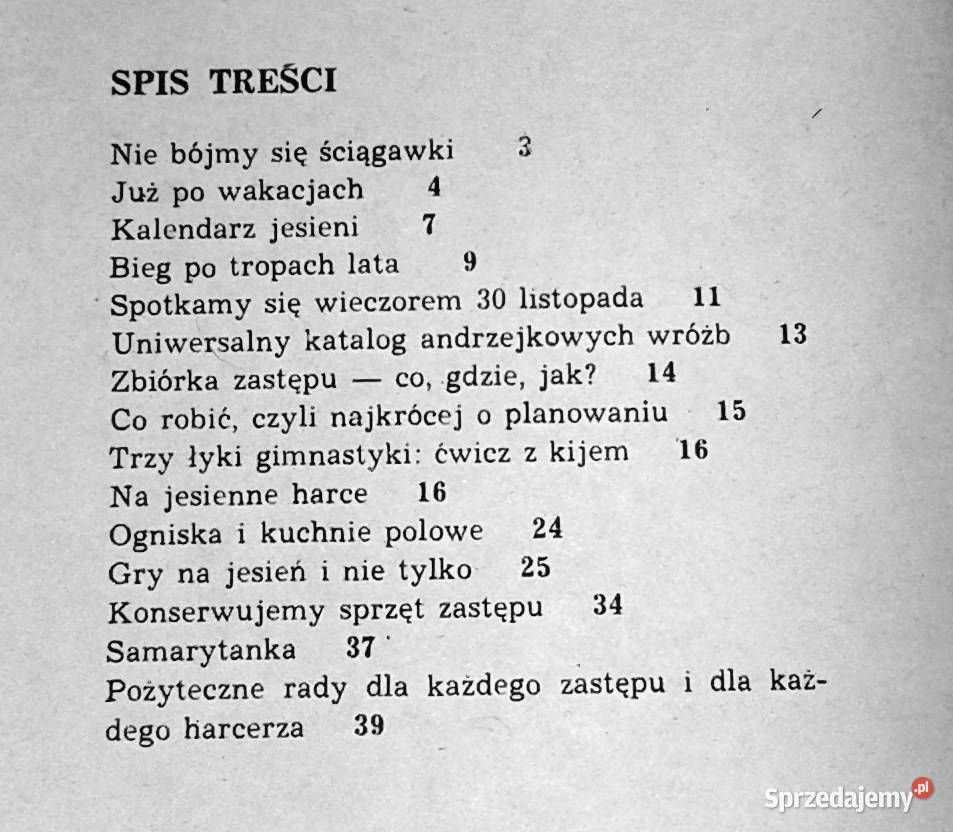 Zastęp zbiórka Jesień Jan Stykowski Chełm