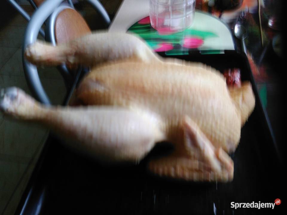 Sprzedam tuszki kurczak brojler a także żywe Słupca