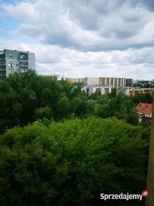 Syndyk sprzeda udział 38 w nieruchomości Bydgoszcz