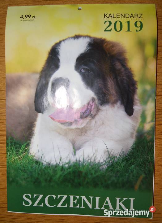 Kalendarz 2019 SZCZENIAKI Rok wydania 2015 Parczew