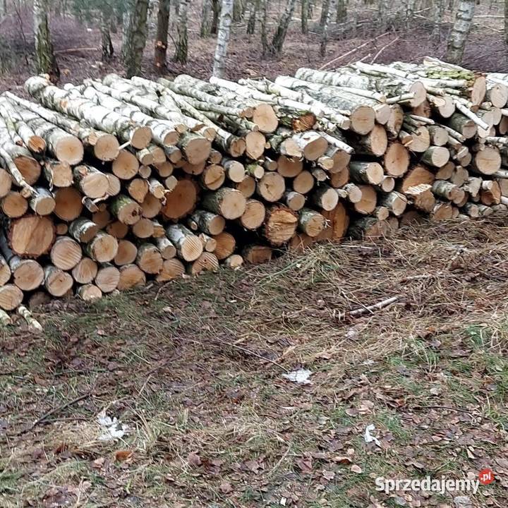 Drewno opałowe brzoza Czarny Las