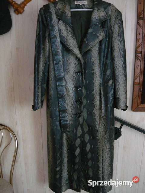 Płaszczyk długi Myszków