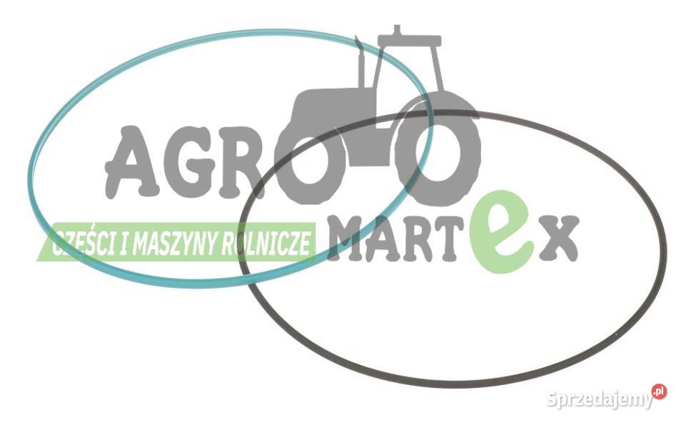 5138955 USZCZELKA CNH Wichrów