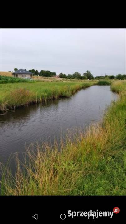 Sprzedam działkę Filipów 65000 4000m2 Filipów Trzeci
