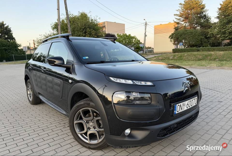 Citron C4 Cactus Nysa