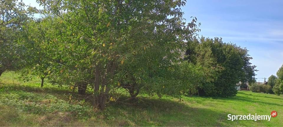 Działka rolnobudowlana Wychody