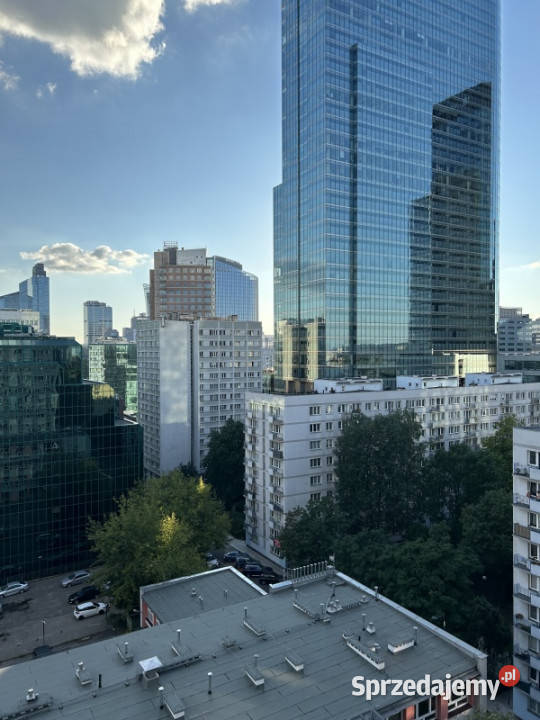 fajne 2 oddzielne pokoje w Centrum Warszawy Warszawa