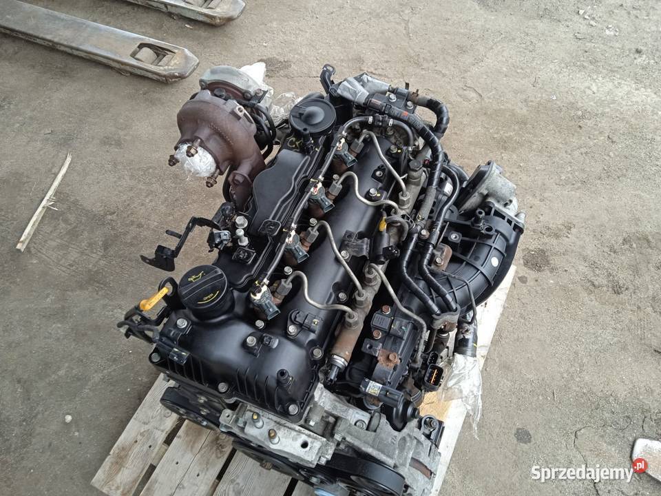 KOMPLETNY SILNIK D4HA 20 CRDI EURO 6 KIA Silniki kompletne Skierniewice