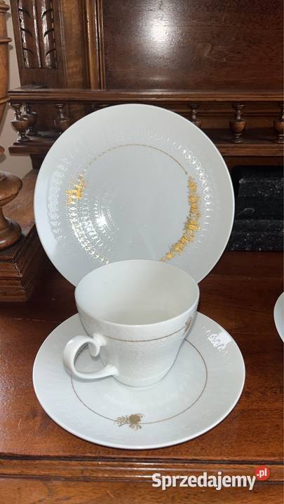 Filiżanka z talerzykiem Rosenthal Seria Romanze pomorskie