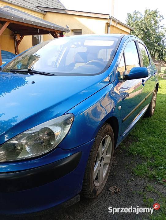 Peugeot 307 16HDI 110 Września