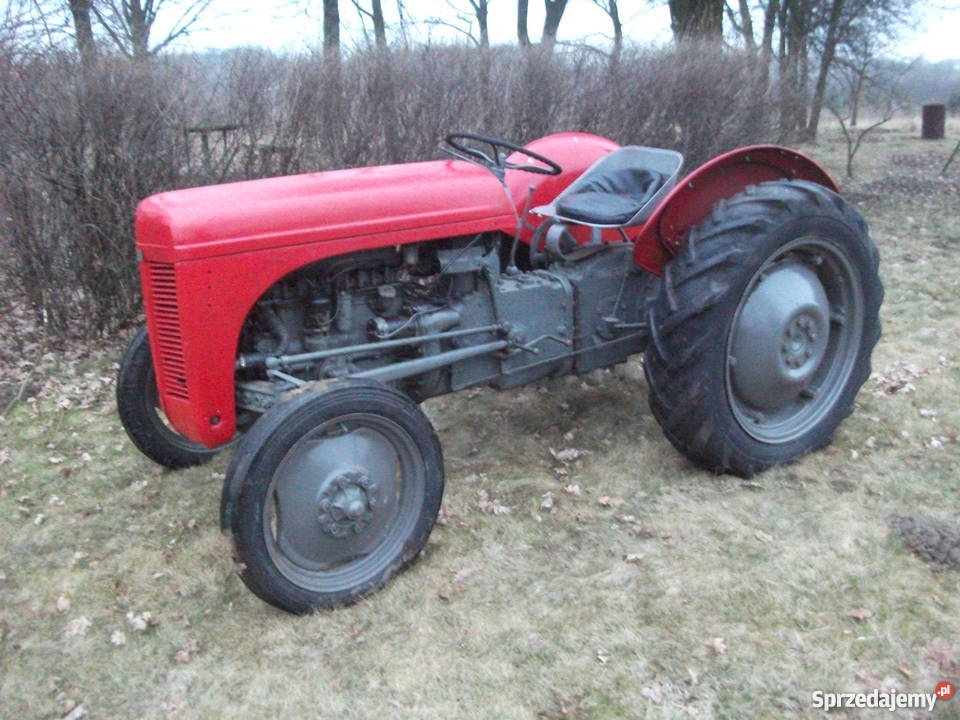 Ferguson 31 tea 20 łódzkie Łódź