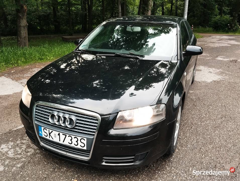 Audi A3 8p 19TDI bogate wyposażenie Bielsko-Biała