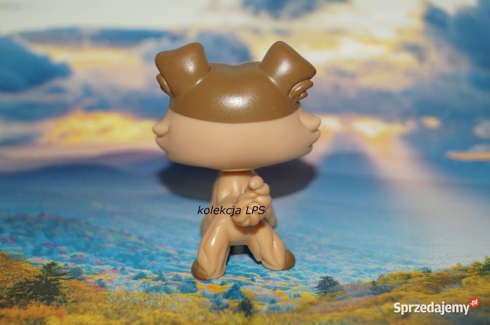 LPS collie 893 853 UNIKAT oryginalny Littlest