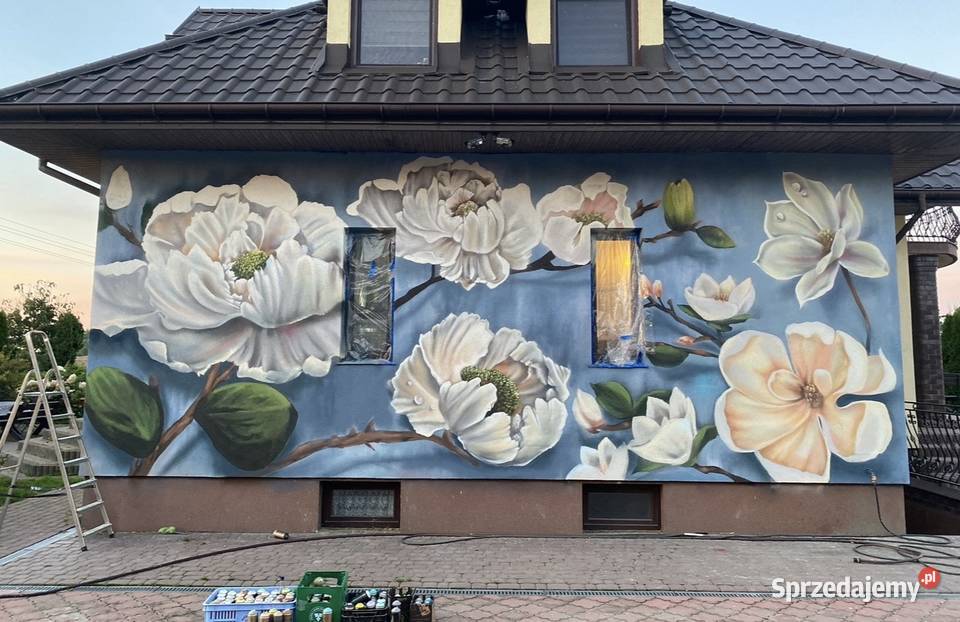Artystyczne graffiti malowanie mural aerograf wielkopolskie Poznań