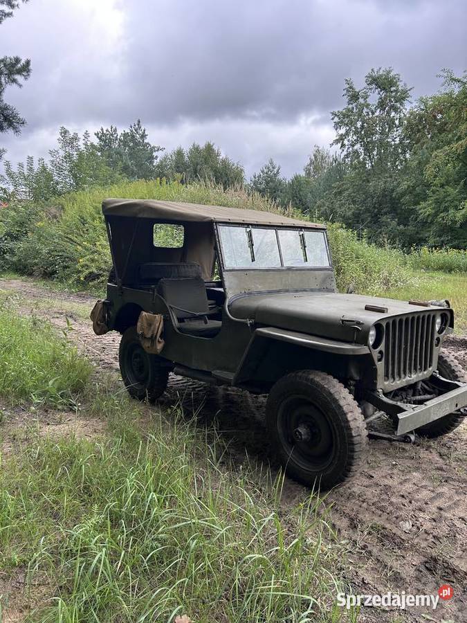 Jeep Willys MB Płock