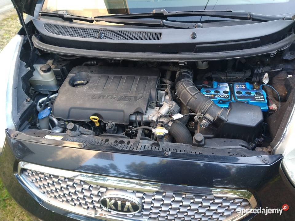 Kia Venga 16 CRDI kupiony w Polsce
