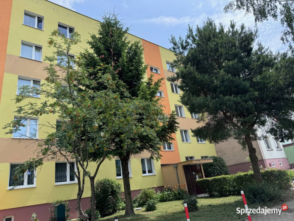 Przytulne i przestronne mieszkanie na Osiedlu na Kielce
