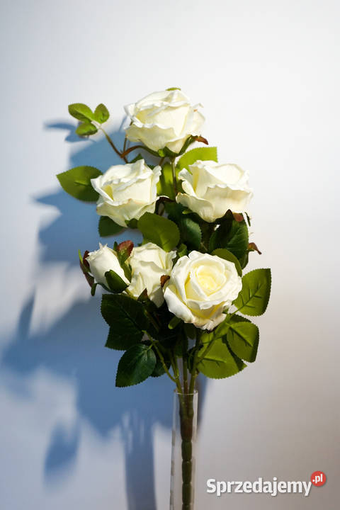 Bukiet róż w kolorze białym Częstochowa