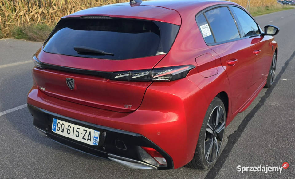Peugeot 308 GT Line 80 P5 2021 Motoryzacja