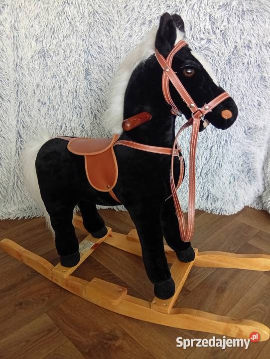 Konik na biegunach sprzedam