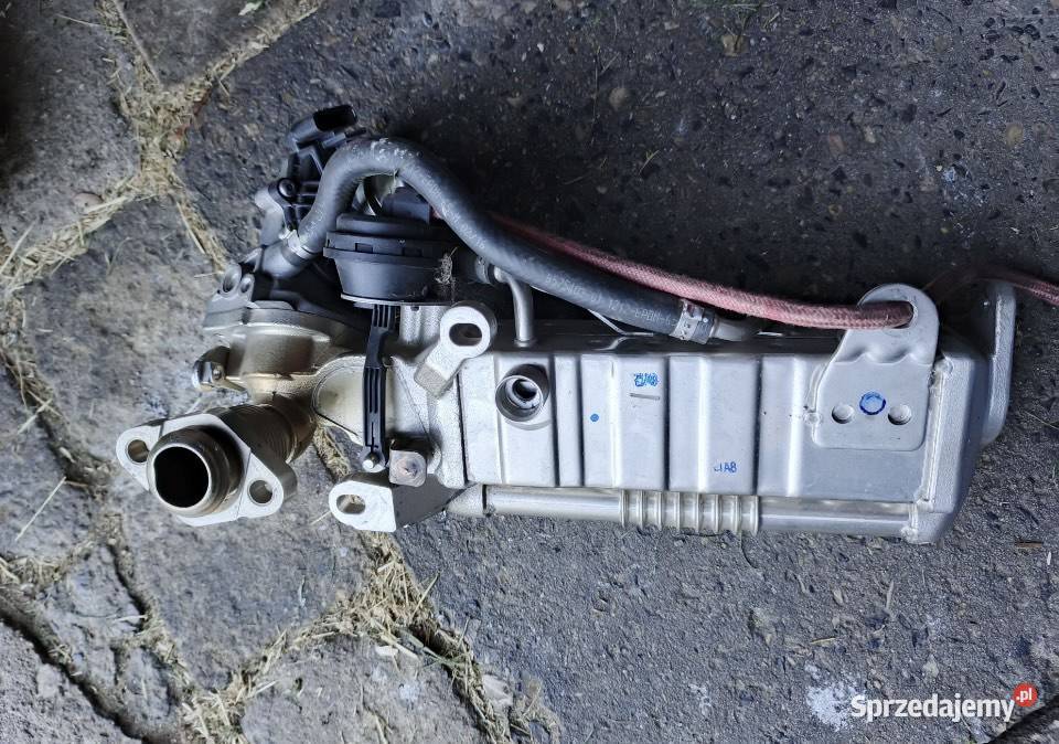 Chłodnica spalin z zaworem EGR BMW Mini świętokrzyskie sprzedam