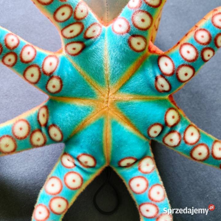 Kraken duża maskotka Ząbki
