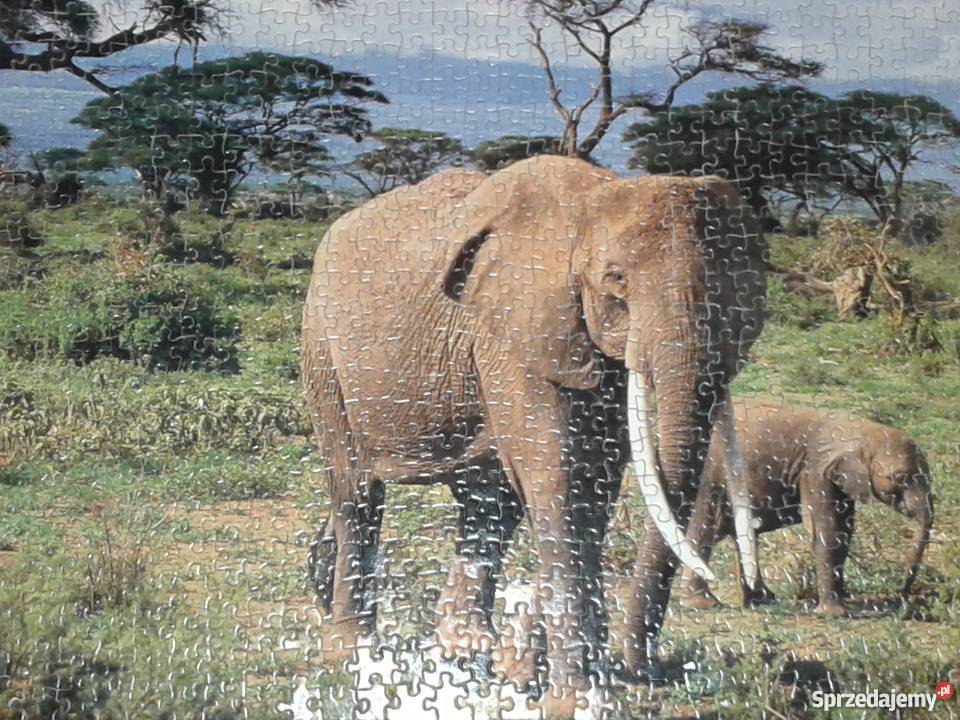 puzzle zwierzęta 1000 elementów Targowisko