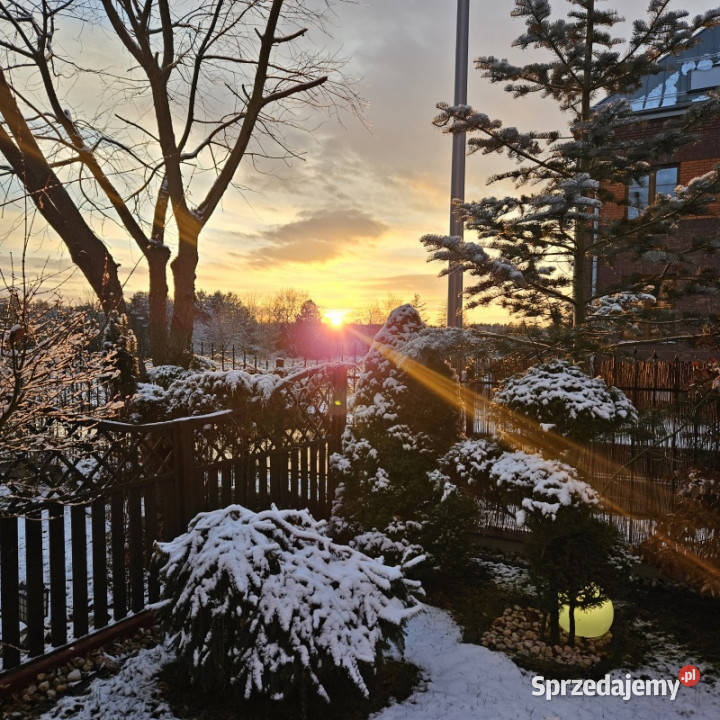 Spokój natury bliskość miasta zamieszkaj już w