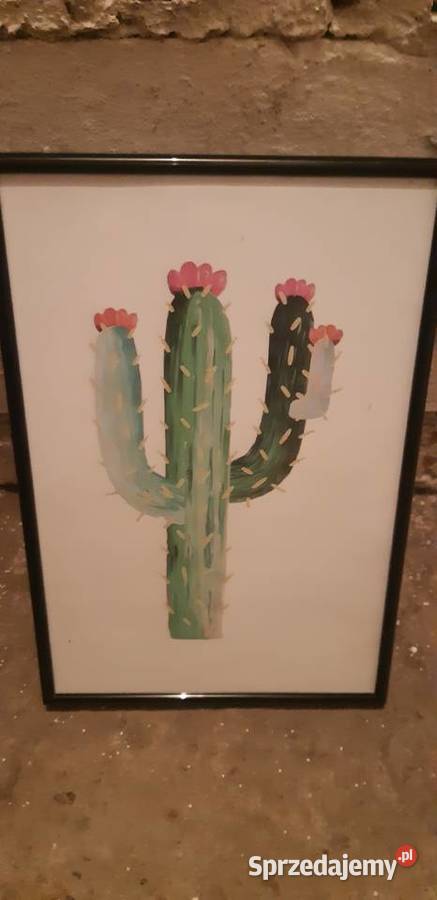 Obrazek kaktusy 20x30 dekoracja nie malowany Koronowo