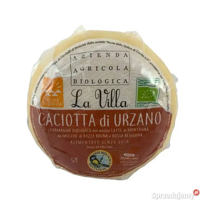 Organiczny Caciotta di Urzano to miękki ser Świdnica