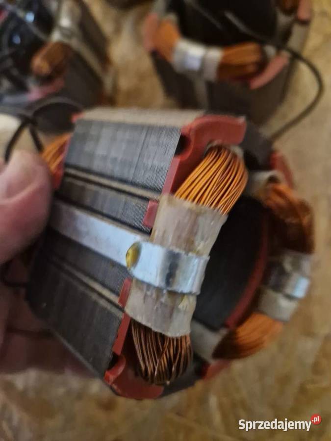 STOJAN YATO RÓŻN wielkopolskie