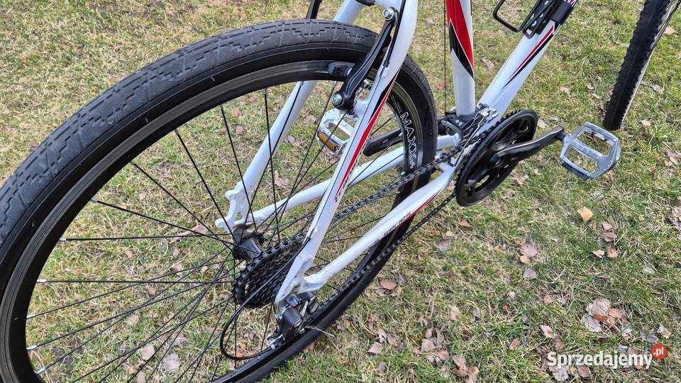 Rower Kands Maestro 21 Cross aluminium Shimano Jelenia Góra