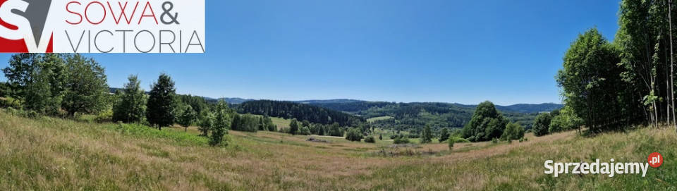 Natura Przestrzeń Spokój i Góry Sowie Kolce