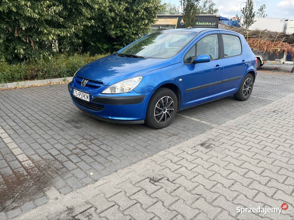 Peugeot 307 2004 16 benzyna 110 komputer pokładowy Szczecin