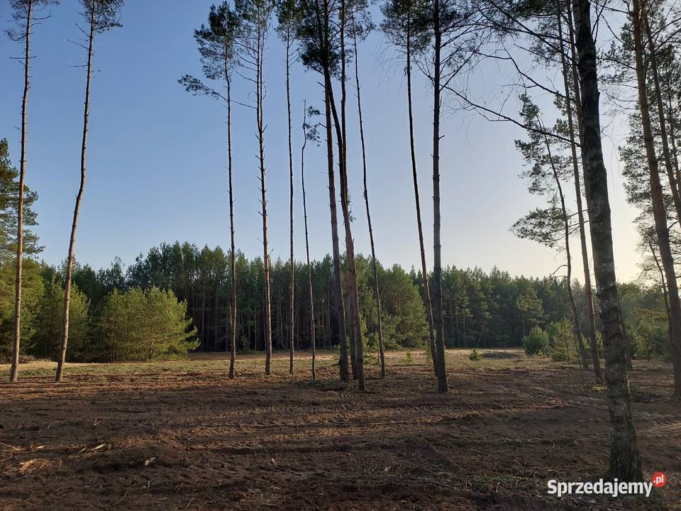 Rogóźno 1261m2 piękna działka rzeki i lasu