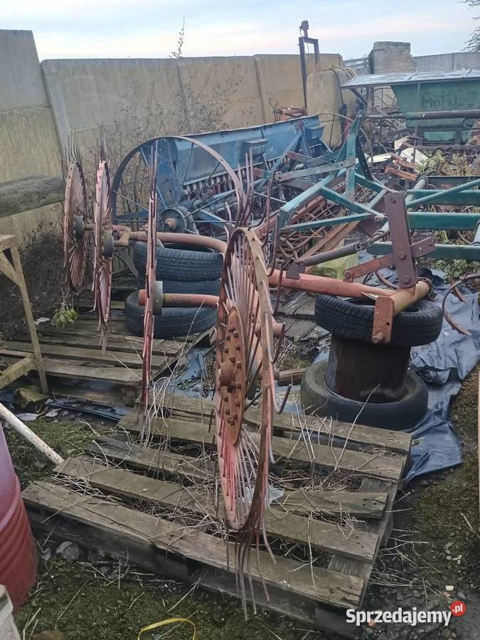 Przewracarka gwiazdowa Niemienice