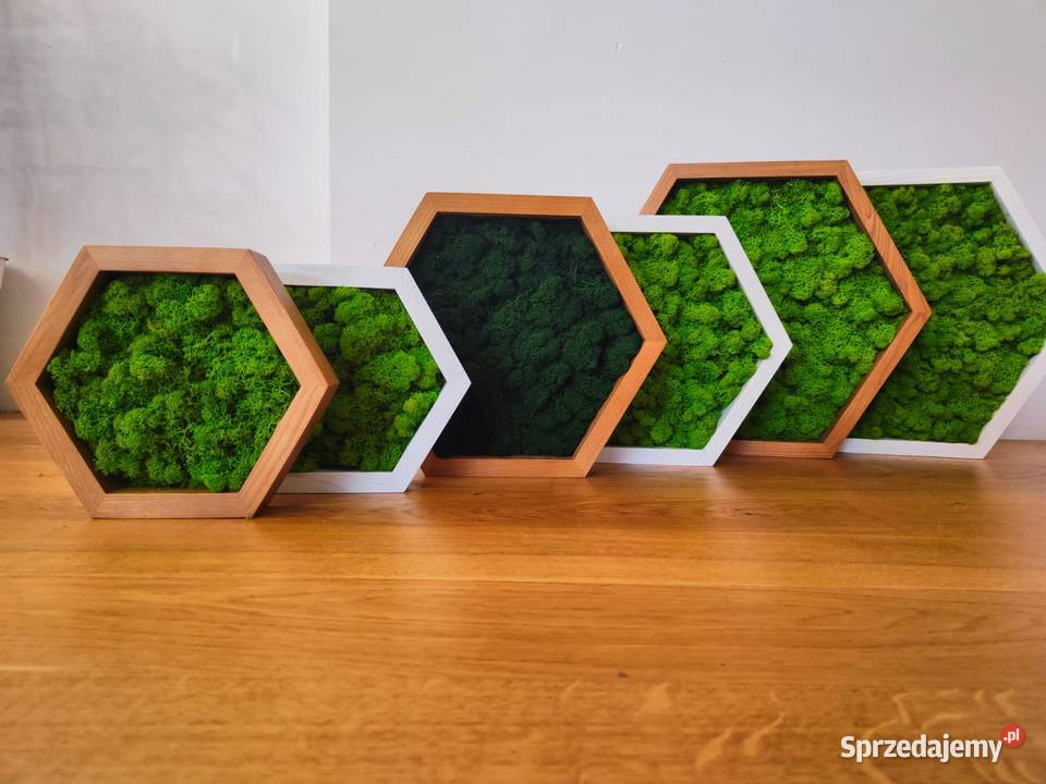 Ramka z drewna jesionowa HEXAGON mech chrobotek Dekoracje i ozdoby